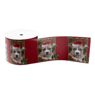 Christmas Pitbull puppy 3" Grosgrain ribbon