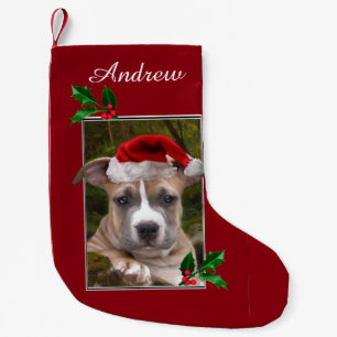 Christmas pitbull puppy personalised Stocking