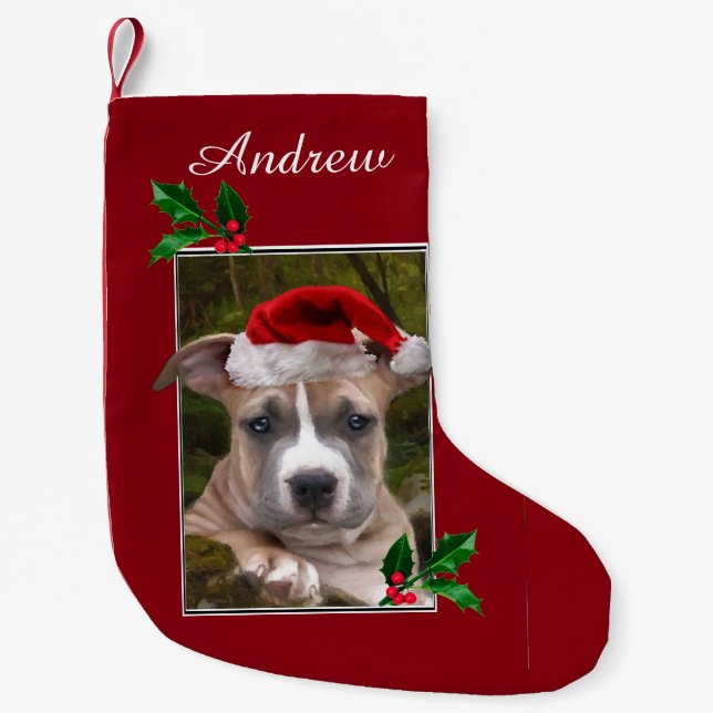 Christmas pitbull puppy personalised Stocking (Front)