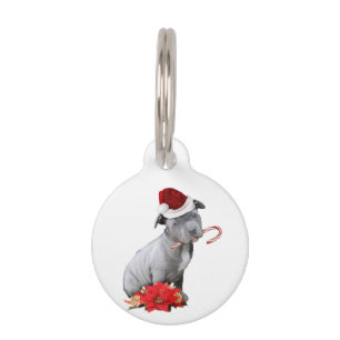 Christmas Pitbull puppy Pet Tag
