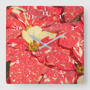 Christmas plant Poinsettia Flower Square Wall Clock