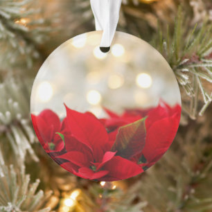 Christmas Poinsettia Ornament