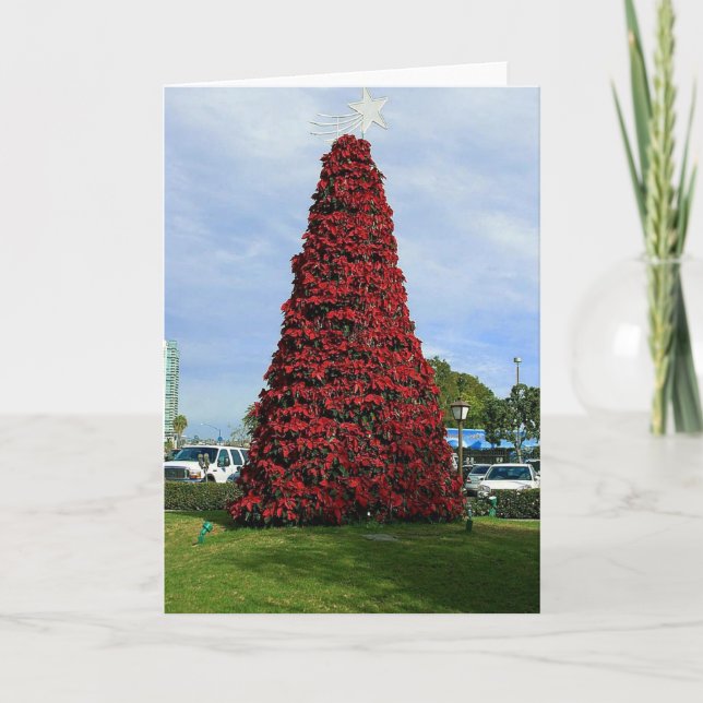 Christmas Poinsettia Tree in San Diego Holiday Card (Front)