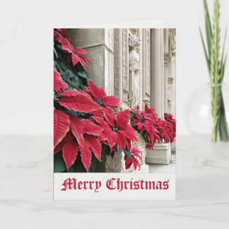 Christmas Poinsettias at Historic Cathedral  Card