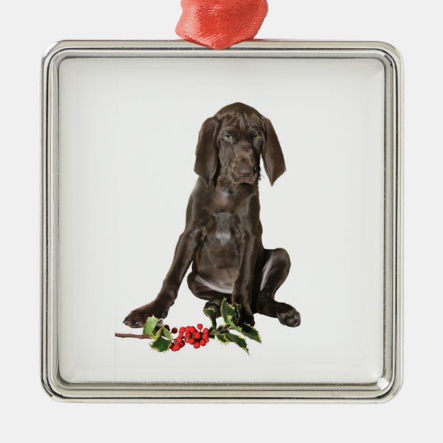 Christmas Pointer Puppy Metal Tree Decoration (Front)
