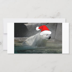 Christmas Polar Bears Holiday Card