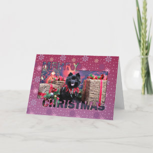 Christmas - Pomeranian - Mazie Holiday Card