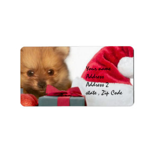 Christmas Pomeranian puppy Label