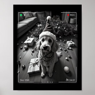 Christmas Poodle Caught On Camera Poster