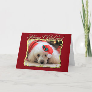 Christmas poodle greeting card