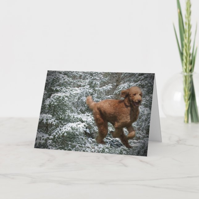 Christmas Poodle Holiday Card (Front)