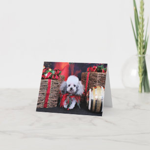 Christmas - Poodle - Lilly Holiday Card