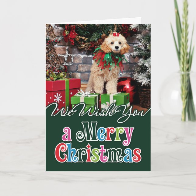 Christmas - Poodle - Patronaglo Holiday Card (Front)