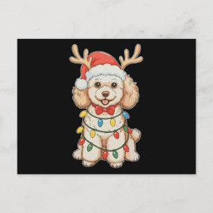 Christmas Poodle Reindeer Dog Santa Hat Xmas Light Holiday Postcard