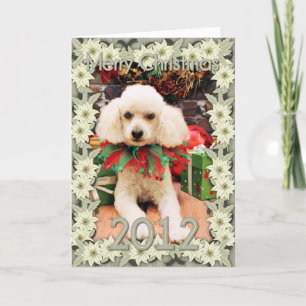 Christmas - Poodle - Riley Holiday Card