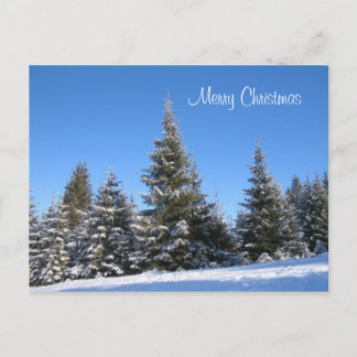 Christmas Postcard