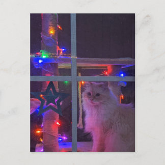 Christmas Postcard