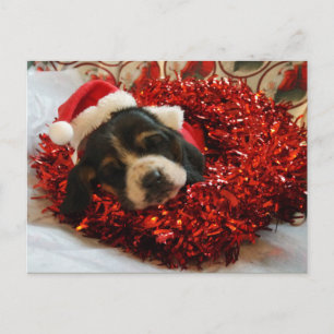 Christmas Postcard Basset Hound
