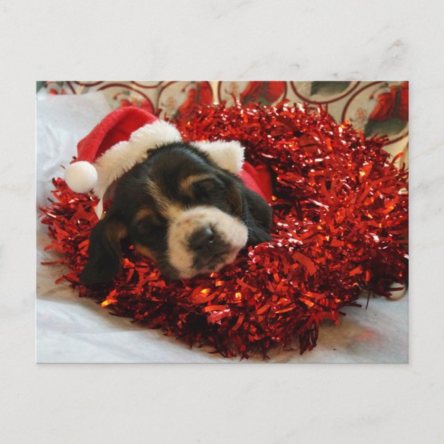 Christmas Postcard Basset Hound (Front)