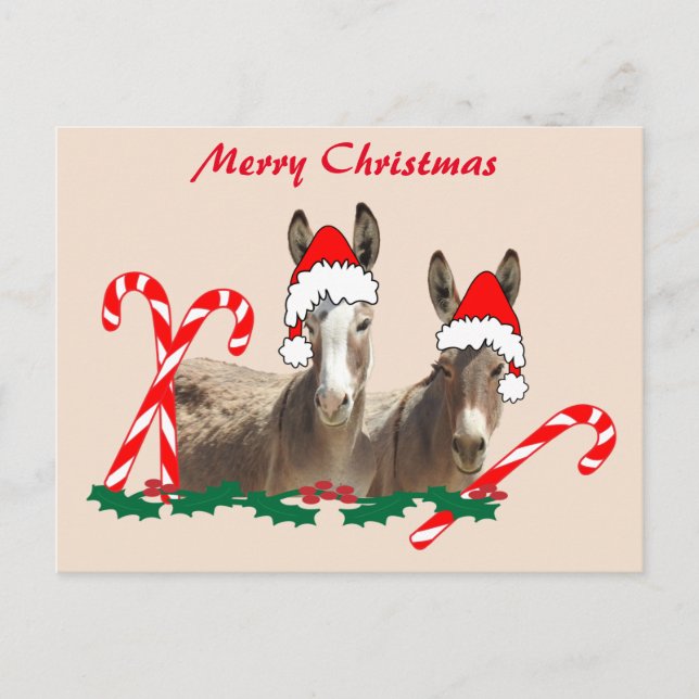 Christmas postcard, wildlife, donkeys postcard (Front)