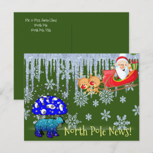 Christmas Postcards North Pole Polar Bear Santa 