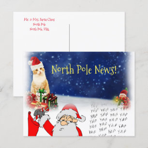 Christmas Postcards North Pole Santa Kitten Cats