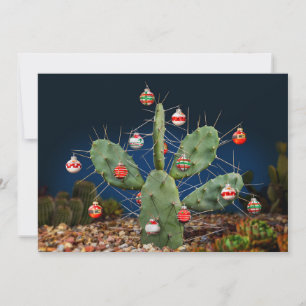 Christmas Prickly Pear, Flat, Holiday Card
