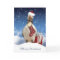 Christmas Puffin Card With Puffin Stocking And Gif