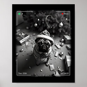 Christmas Pug Caught On Camera Poster