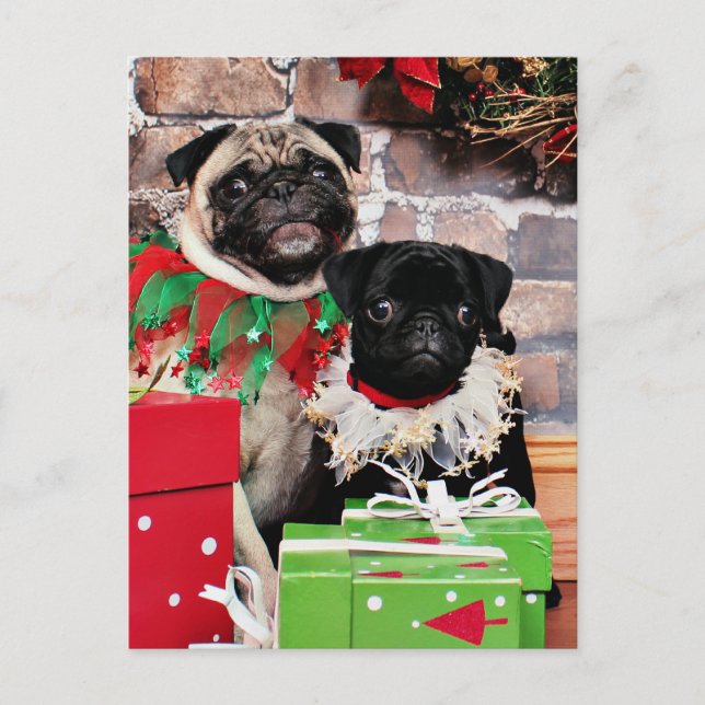 Christmas - Pug - Daisy Mae and Lily Lou Holiday Postcard (Front)