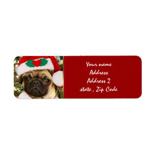 Christmas Pug dog