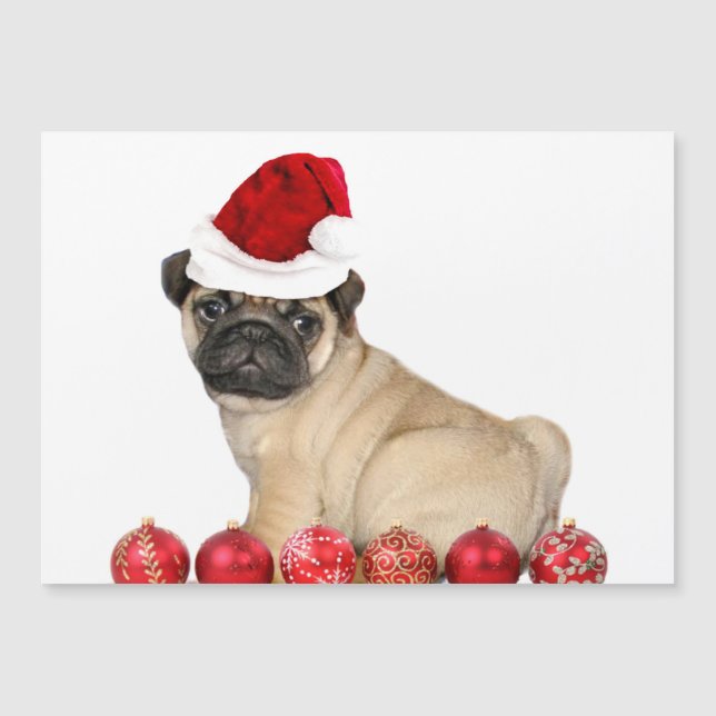 Christmas pug dog (Front)