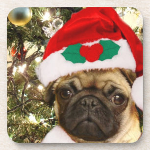 Christmas Pug dog Coaster