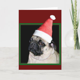 Christmas pug dog holiday card