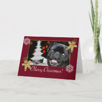 Christmas pug dog