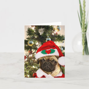 Christmas Pug dog Holiday Card