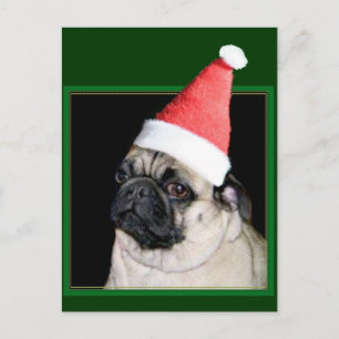 Christmas pug dog holiday postcard