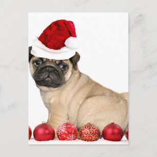 Christmas pug dog holiday postcard