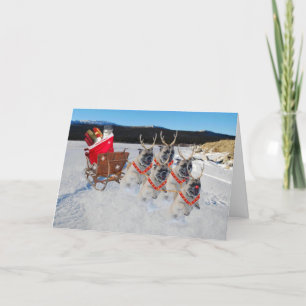 Christmas Pug Dogs Pulling a Sleigh Holiday Card
