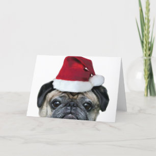 Christmas pug greeting card