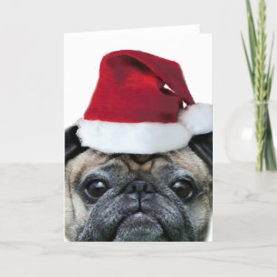 Christmas pug greeting card