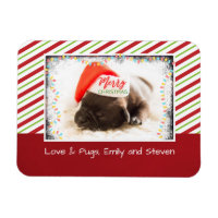 Christmas Pug in Santa Hat with Christmas Lights