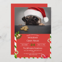 Christmas Pug      