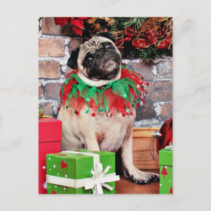 Christmas - Pug - Lily Lou Holiday Postcard