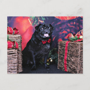 Christmas - Pug - Little Moe Holiday Postcard