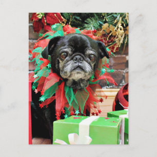 Christmas - Pug - Michaelis Holiday Postcard