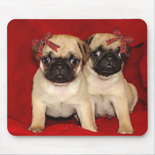 Christmas pug puppies mouse mat