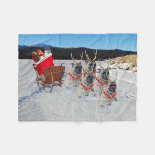 Christmas Pug Sleigh Fleece Blanket