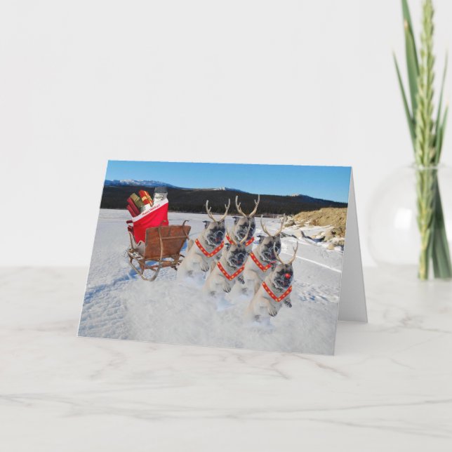 Christmas Pug Sleigh Greeting Card (Front)