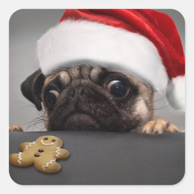 Christmas Pug Square Sticker (Front)